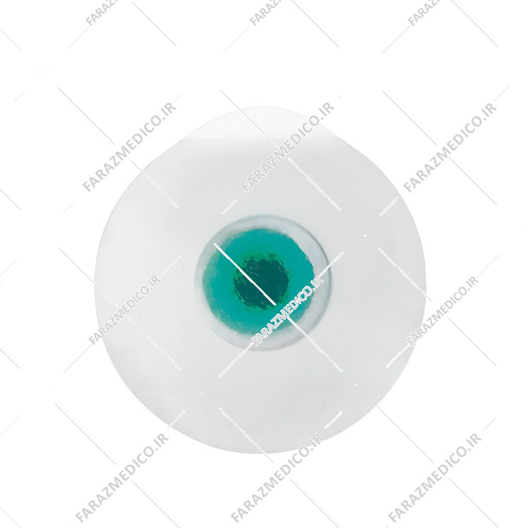 چست لید مدیکو medico